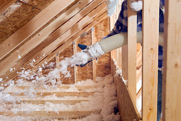 Best Attic Insulation Installation  in Frankenmuth, MI